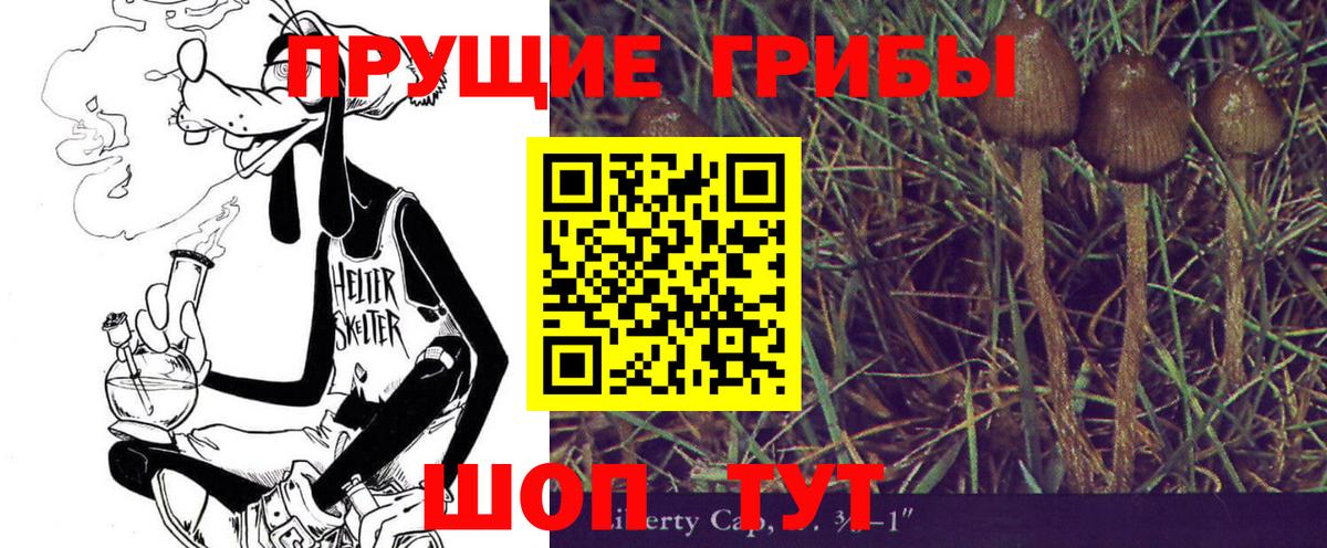 Лесосибирск  Галлюциногенные грибы Magic Shrooms  Вход с VPN 